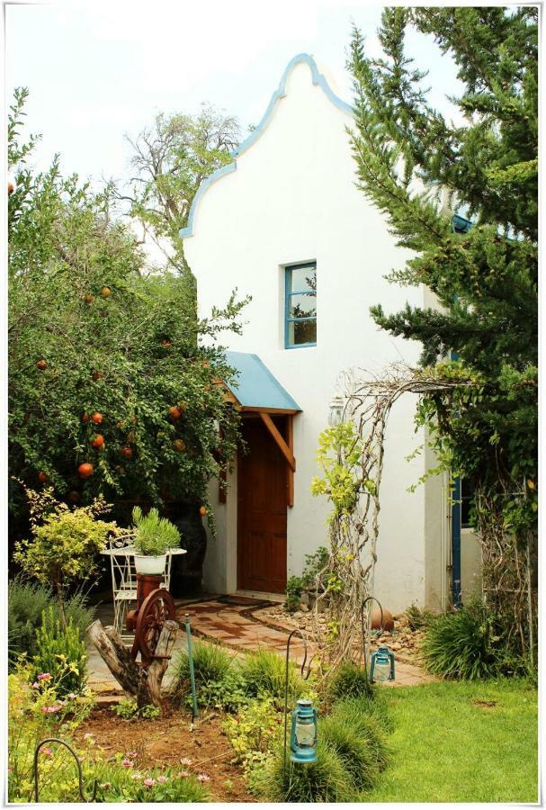 Tortelduif Cottage Offthegrid Middelburg  Exteriér fotografie