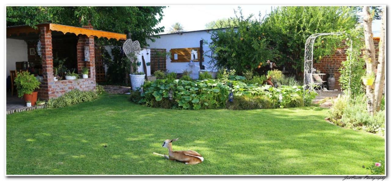 Tortelduif Cottage Offthegrid Middelburg  Exteriér fotografie