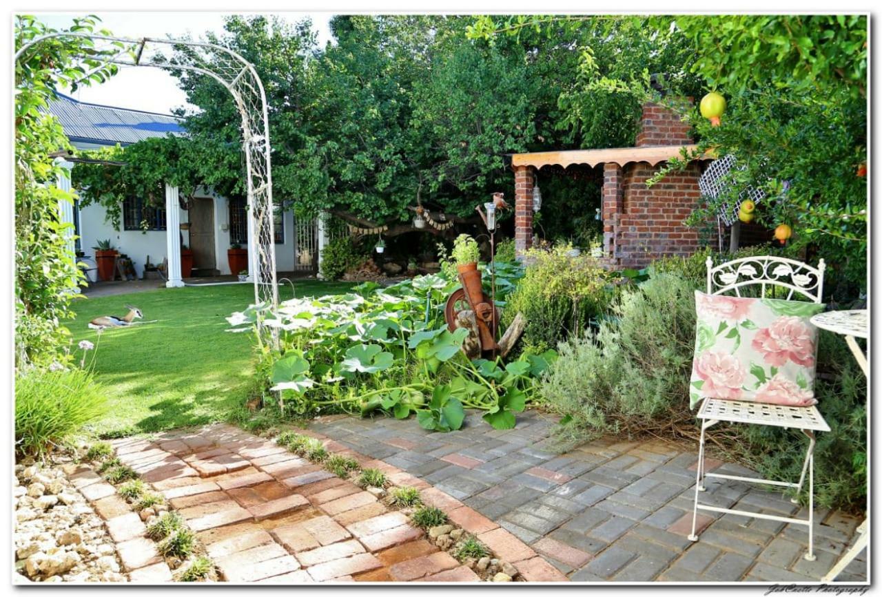 Tortelduif Cottage Offthegrid Middelburg  Exteriér fotografie